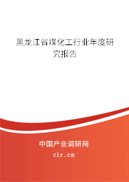 黑龍江省煤化工行業(yè)年度研究報(bào)告 黑龍江省煤化工行業(yè)年度研究報(bào)告