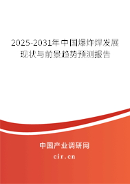 2025-2031年中國爆炸焊發(fā)展現(xiàn)狀與前景趨勢預(yù)測報告 2025-2031年中國爆炸焊發(fā)展現(xiàn)狀與前景趨勢預(yù)測報告