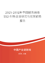 2025-2031年中國(guó)服務(wù)器級(jí)SSD市場(chǎng)調(diào)查研究與前景趨勢(shì)報(bào)告 2025-2031年中國(guó)服務(wù)器級(jí)SSD市場(chǎng)調(diào)查研究與前景趨勢(shì)報(bào)告