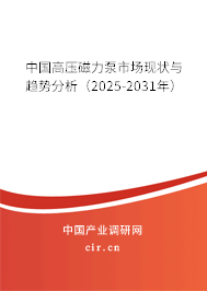 中國高壓磁力泵市場現(xiàn)狀與趨勢分析（2025-2031年）