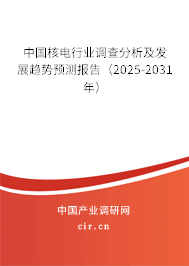 中國核電行業(yè)調(diào)查分析及發(fā)展趨勢預(yù)測報告（2025-2031年）