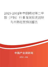 2025-2031年中國精對苯二甲酸（PTA）行業(yè)發(fā)展現(xiàn)狀調(diào)研與市場前景預(yù)測報告