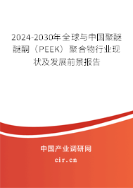 2024-2030年全球與中國聚醚醚酮（PEEK）聚合物行業(yè)現(xiàn)狀及發(fā)展前景報告