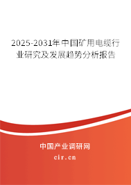 2025-2031年中國礦用電纜行業(yè)研究及發(fā)展趨勢分析報告 2025-2031年中國礦用電纜行業(yè)研究及發(fā)展趨勢分析報告