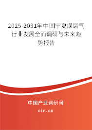 2025-2031年中國寧夏煤層氣行業(yè)發(fā)展全面調(diào)研與未來趨勢報(bào)告