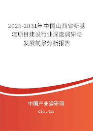 2025-2031年中國山西省新基建項目建設(shè)行業(yè)深度調(diào)研與發(fā)展前景分析報告 2025-2031年中國山西省新基建項目建設(shè)行業(yè)深度調(diào)研與發(fā)展前景分析報告