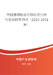 中國伸縮坡道市場現(xiàn)狀分析與發(fā)展趨勢預(yù)測(2025-2031年) 中國伸縮坡道市場現(xiàn)狀分析與發(fā)展趨勢預(yù)測(2025-2031年)