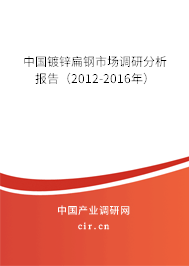 中國(guó)鍍鋅扁鋼市場(chǎng)調(diào)研分析報(bào)告（2012-2016年）