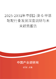 2025-2031年中國(guó)2-溴-6-甲基吡啶行業(yè)發(fā)展深度調(diào)研與未來趨勢(shì)報(bào)告 2025-2031年中國(guó)2-溴-6-甲基吡啶行業(yè)發(fā)展深度調(diào)研與未來趨勢(shì)報(bào)告