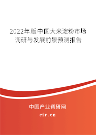2022年版中國大米淀粉市場調(diào)研與發(fā)展前景預(yù)測報(bào)告