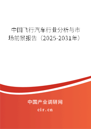 中國飛行汽車行業(yè)分析與市場前景報告(2025-2031年) 中國飛行汽車行業(yè)分析與市場前景報告(2025-2031年)