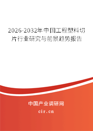 2026-2032年中國(guó)工程塑料切片行業(yè)研究與前景趨勢(shì)報(bào)告 2026-2032年中國(guó)工程塑料切片行業(yè)研究與前景趨勢(shì)報(bào)告