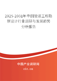 2025-2031年中國管道工程勘察設計行業(yè)調(diào)研與發(fā)展趨勢分析報告 2025-2031年中國管道工程勘察設計行業(yè)調(diào)研與發(fā)展趨勢分析報告
