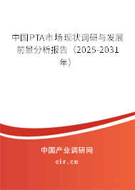 中國PTA市場現(xiàn)狀調(diào)研與發(fā)展前景分析報告（2025-2031年）