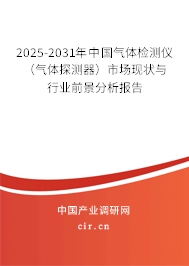 2025-2031年中國(guó)氣體檢測(cè)儀（氣體探測(cè)器）市場(chǎng)現(xiàn)狀與行業(yè)前景分析報(bào)告