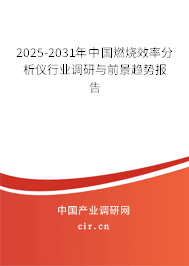 2025-2031年中國燃燒效率分析儀行業(yè)調(diào)研與前景趨勢報告