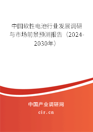 中國軟性電池行業(yè)發(fā)展調研與市場前景預測報告（2024-2030年）