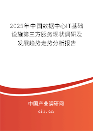2025年中國數(shù)據中心IT基礎設施第三方服務現(xiàn)狀調研及發(fā)展趨勢走勢分析報告