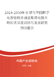 2024-2030年全球與中國數(shù)字電源管理多通道集成電路市場現(xiàn)狀深度調研與發(fā)展趨勢預測報告