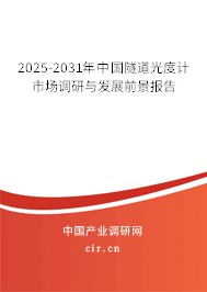 2025-2031年中國隧道光度計市場調(diào)研與發(fā)展前景報告