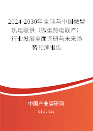 2024-2030年全球與中國微型熱電聯(lián)供(微型熱電聯(lián)產(chǎn))行業(yè)發(fā)展全面調(diào)研與未來趨勢預(yù)測報告 2024-2030年全球與中國微型熱電聯(lián)供(微型熱電聯(lián)產(chǎn))行業(yè)發(fā)展全面調(diào)研與未來趨勢預(yù)測報告
