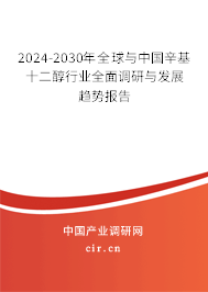 2024-2030年全球與中國辛基十二醇行業(yè)全面調研與發(fā)展趨勢報告