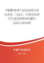 中國整體煤氣化聯(lián)合循環(huán)發(fā)電系統(tǒng)(IGCC)市場調(diào)查研究與發(fā)展趨勢預(yù)測報(bào)告(2025-2031年) 中國整體煤氣化聯(lián)合循環(huán)發(fā)電系統(tǒng)(IGCC)市場調(diào)查研究與發(fā)展趨勢預(yù)測報(bào)告(2025-2031年)