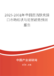 2024-2030年中國直流快充接口市場現(xiàn)狀與前景趨勢預(yù)測報告 2024-2030年中國直流快充接口市場現(xiàn)狀與前景趨勢預(yù)測報告