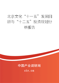 北京文化“十一五”發(fā)展回顧與“十二五”投資規(guī)劃分析報告