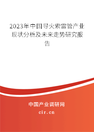 2023年中國導火索雷管產(chǎn)業(yè)現(xiàn)狀分析及未來走勢研究報告