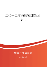 二〇一二年假肢項目商業(yè)計劃書 二〇一二年假肢項目商業(yè)計劃書