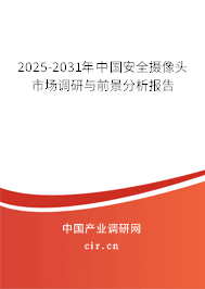 2025-2031年中國安全攝像頭市場調(diào)研與前景分析報(bào)告