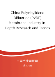 China Polyvinylidene Difluoride (PVDF) Membrane Industry In-Depth Research and Trends Report 2021-2027 China Polyvinylidene Difluoride (PVDF) Membrane Industry In-Depth Research and Trends Report 2021-2027