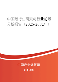 中國(guó)酚行業(yè)研究與行業(yè)前景分析報(bào)告(2025-2031年) 中國(guó)酚行業(yè)研究與行業(yè)前景分析報(bào)告(2025-2031年)