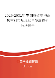 2025-2031年中國(guó)鋰硫電池正極材料市場(chǎng)現(xiàn)狀與發(fā)展趨勢(shì)分析報(bào)告 2025-2031年中國(guó)鋰硫電池正極材料市場(chǎng)現(xiàn)狀與發(fā)展趨勢(shì)分析報(bào)告