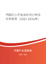 中國滅火劑發(fā)展現(xiàn)狀分析及前景趨勢(2025-2031年) 中國滅火劑發(fā)展現(xiàn)狀分析及前景趨勢(2025-2031年)