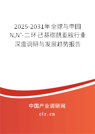 2025-2031年全球與中國(guó)N,N'-二環(huán)己基碳酰亞胺行業(yè)深度調(diào)研與發(fā)展趨勢(shì)報(bào)告 2025-2031年全球與中國(guó)N,N'-二環(huán)己基碳酰亞胺行業(yè)深度調(diào)研與發(fā)展趨勢(shì)報(bào)告