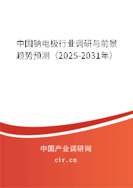 中國(guó)鈉電極行業(yè)調(diào)研與前景趨勢(shì)預(yù)測(cè)(2025-2031年) 中國(guó)鈉電極行業(yè)調(diào)研與前景趨勢(shì)預(yù)測(cè)(2025-2031年)