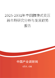 2024-2030年中國推挽式變壓器市場研究分析與發(fā)展趨勢報告 2024-2030年中國推挽式變壓器市場研究分析與發(fā)展趨勢報告