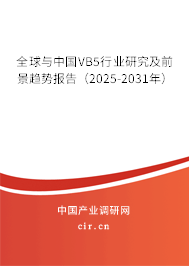 全球與中國VB5行業(yè)研究及前景趨勢報告(2025-2031年) 全球與中國VB5行業(yè)研究及前景趨勢報告(2025-2031年)