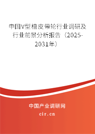 中國V型槽皮帶輪行業(yè)調(diào)研及行業(yè)前景分析報告(2025-2031年) 中國V型槽皮帶輪行業(yè)調(diào)研及行業(yè)前景分析報告(2025-2031年)