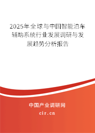 2025年全球與中國智能泊車輔助系統(tǒng)行業(yè)發(fā)展調研與發(fā)展趨勢分析報告 2025年全球與中國智能泊車輔助系統(tǒng)行業(yè)發(fā)展調研與發(fā)展趨勢分析報告