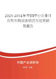 2025-2031年中國中小企業(yè)IT應(yīng)用市場調(diào)查研究與前景趨勢報告