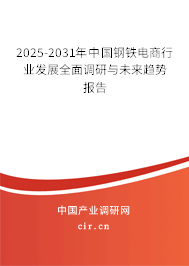 2025-2031年中國鋼鐵電商行業(yè)發(fā)展全面調(diào)研與未來趨勢報告