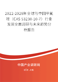 2022-2028年全球與中國甲氟喹（CAS 53230-10-7）行業(yè)發(fā)展全面調(diào)研與未來趨勢分析報(bào)告