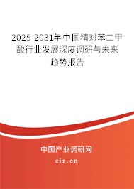 2025-2031年中國精對(duì)苯二甲酸行業(yè)發(fā)展深度調(diào)研與未來趨勢(shì)報(bào)告 2025-2031年中國精對(duì)苯二甲酸行業(yè)發(fā)展深度調(diào)研與未來趨勢(shì)報(bào)告