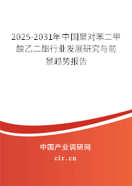 2025-2031年中國聚對苯二甲酸乙二酯行業(yè)發(fā)展研究與前景趨勢報告 2025-2031年中國聚對苯二甲酸乙二酯行業(yè)發(fā)展研究與前景趨勢報告