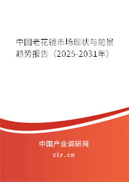 中國老花鏡市場現(xiàn)狀與前景趨勢報告（2025-2031年）