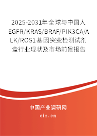 2025-2031年全球與中國人EGFR/KRAS/BRAF/PIK3CA/ALK/ROS1基因突變檢測試劑盒行業(yè)現狀及市場前景報告 2025-2031年全球與中國人EGFR/KRAS/BRAF/PIK3CA/ALK/ROS1基因突變檢測試劑盒行業(yè)現狀及市場前景報告
