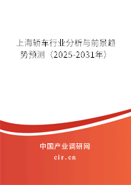 上海轎車行業(yè)分析與前景趨勢預(yù)測(2025-2031年) 上海轎車行業(yè)分析與前景趨勢預(yù)測(2025-2031年)